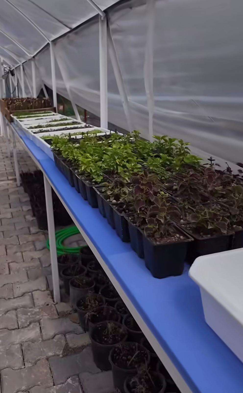 Dalaman Belediyesinde Seracılık Eğitimi Başlıyor 4